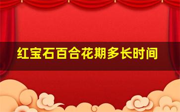 红宝石百合花期多长时间