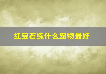 红宝石练什么宠物最好