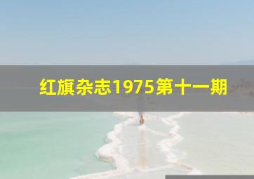 红旗杂志1975第十一期