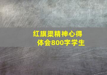 红旗渠精神心得体会800字学生