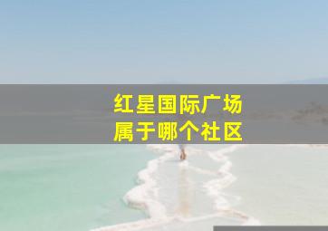 红星国际广场属于哪个社区