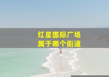 红星国际广场属于哪个街道