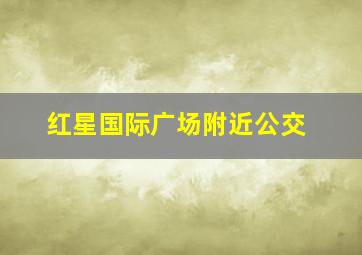 红星国际广场附近公交