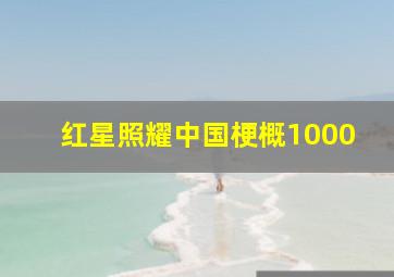 红星照耀中国梗概1000