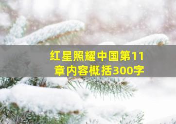 红星照耀中国第11章内容概括300字