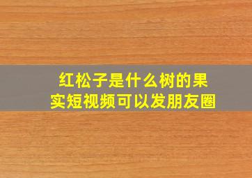 红松子是什么树的果实短视频可以发朋友圈