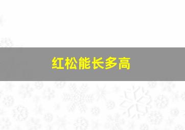 红松能长多高