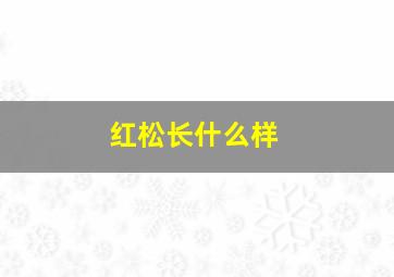 红松长什么样