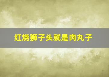 红烧狮子头就是肉丸子