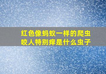 红色像蚂蚁一样的爬虫咬人特别痒是什么虫子