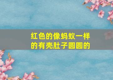 红色的像蚂蚁一样的有壳肚子圆圆的