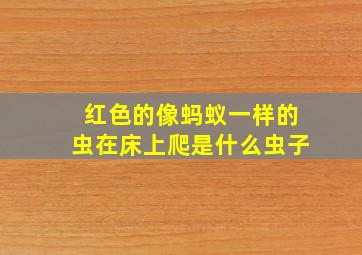 红色的像蚂蚁一样的虫在床上爬是什么虫子