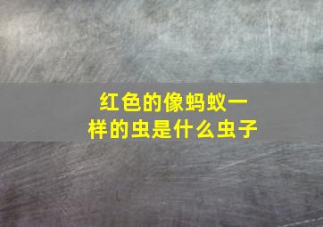 红色的像蚂蚁一样的虫是什么虫子