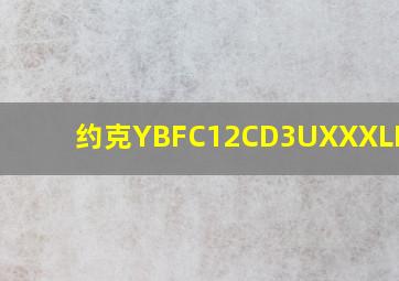 约克YBFC12CD3UXXXLDJ(2)