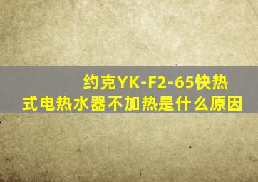 约克YK-F2-65快热式电热水器不加热是什么原因