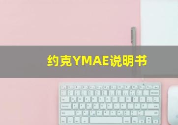 约克YMAE说明书