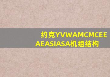 约克YVWAMCMCEEAEASIASA机组结构