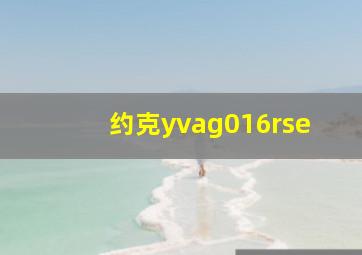 约克yvag016rse