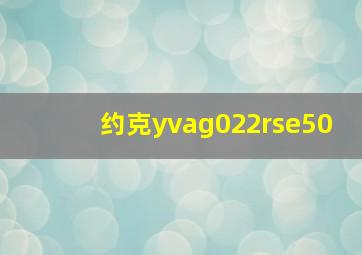 约克yvag022rse50