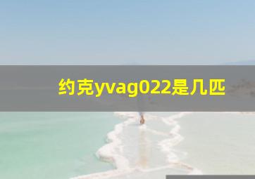 约克yvag022是几匹