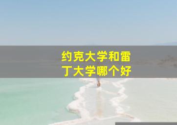 约克大学和雷丁大学哪个好