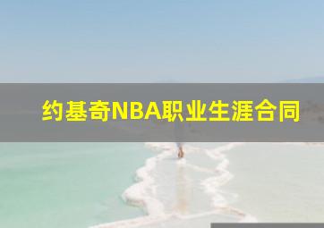 约基奇NBA职业生涯合同