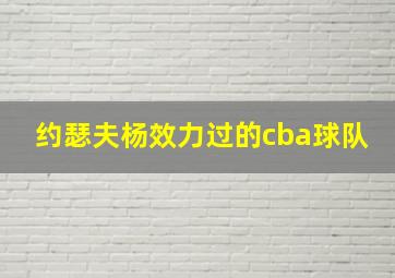 约瑟夫杨效力过的cba球队