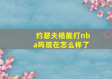 约瑟夫杨能打nba吗现在怎么样了