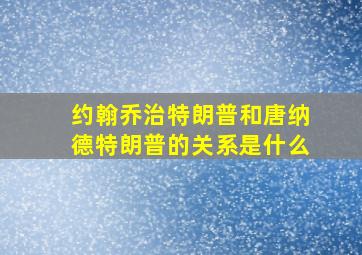 约翰乔治特朗普和唐纳德特朗普的关系是什么