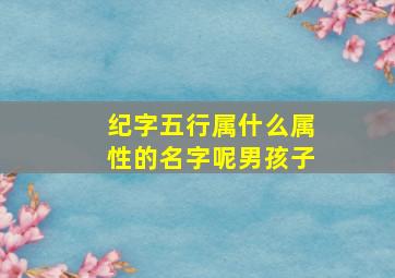 纪字五行属什么属性的名字呢男孩子