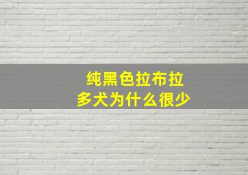 纯黑色拉布拉多犬为什么很少