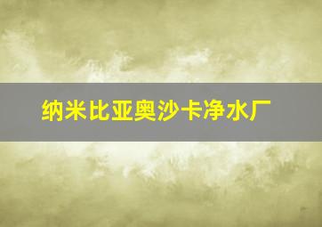 纳米比亚奥沙卡净水厂