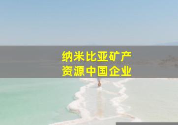 纳米比亚矿产资源中国企业