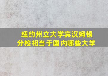 纽约州立大学宾汉姆顿分校相当于国内哪些大学