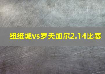 纽维城vs罗夫加尔2.14比赛