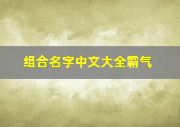 组合名字中文大全霸气