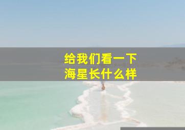 给我们看一下海星长什么样