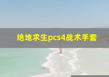 绝地求生pcs4战术手套