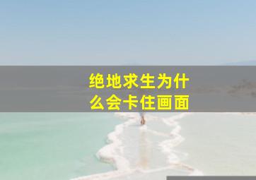 绝地求生为什么会卡住画面