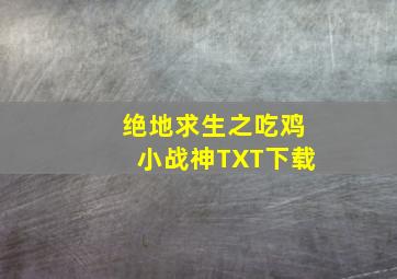 绝地求生之吃鸡小战神TXT下载