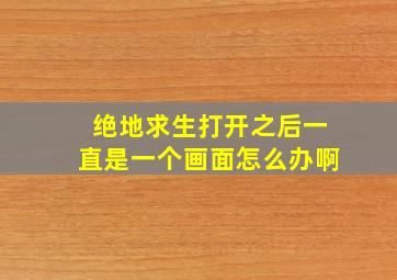 绝地求生打开之后一直是一个画面怎么办啊