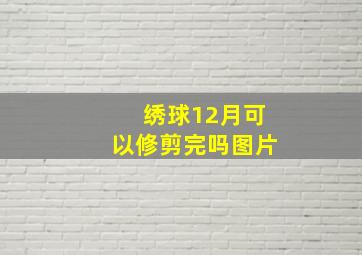 绣球12月可以修剪完吗图片