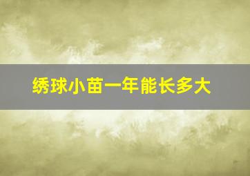 绣球小苗一年能长多大