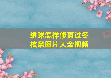 绣球怎样修剪过冬枝条图片大全视频