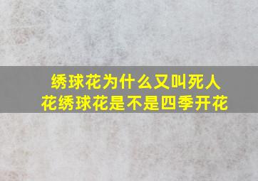 绣球花为什么又叫死人花绣球花是不是四季开花