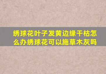 绣球花叶子发黄边缘干枯怎么办绣球花可以施草木灰吗