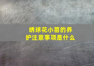 绣球花小苗的养护注意事项是什么