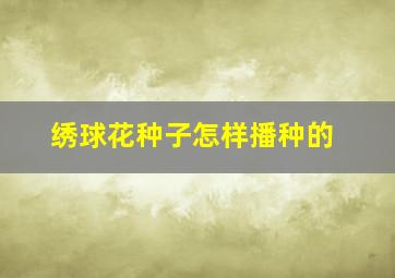 绣球花种子怎样播种的