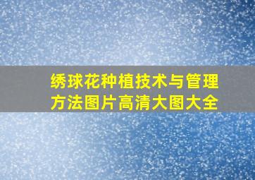 绣球花种植技术与管理方法图片高清大图大全