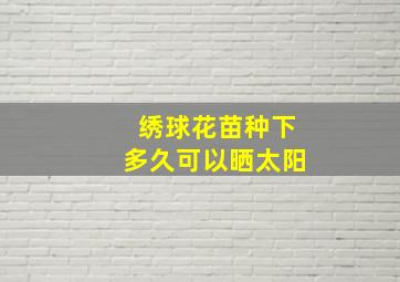 绣球花苗种下多久可以晒太阳